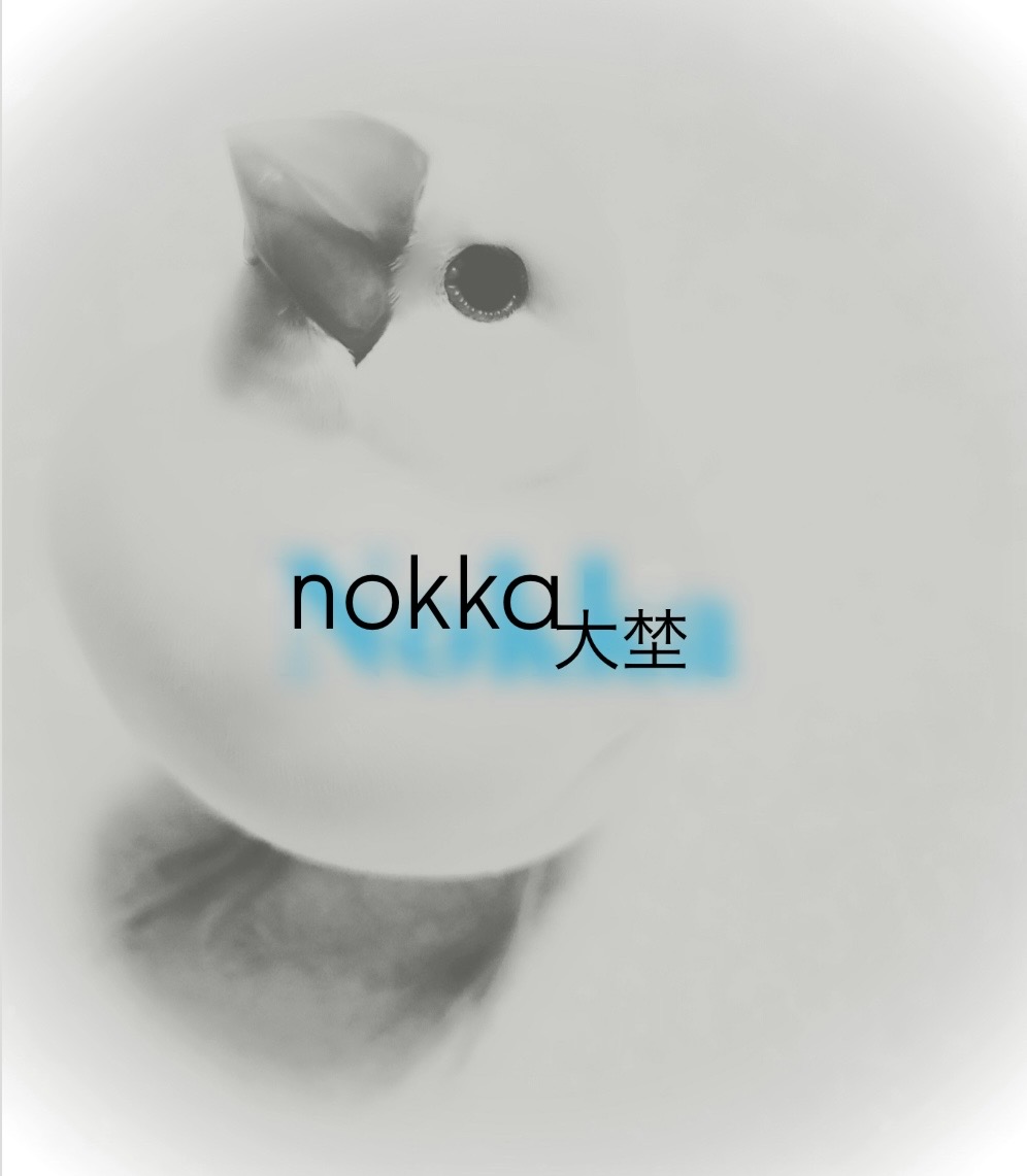 nokka 大埜